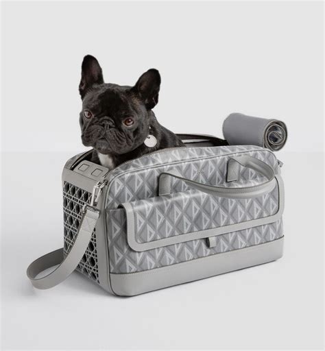 Dior pet dog